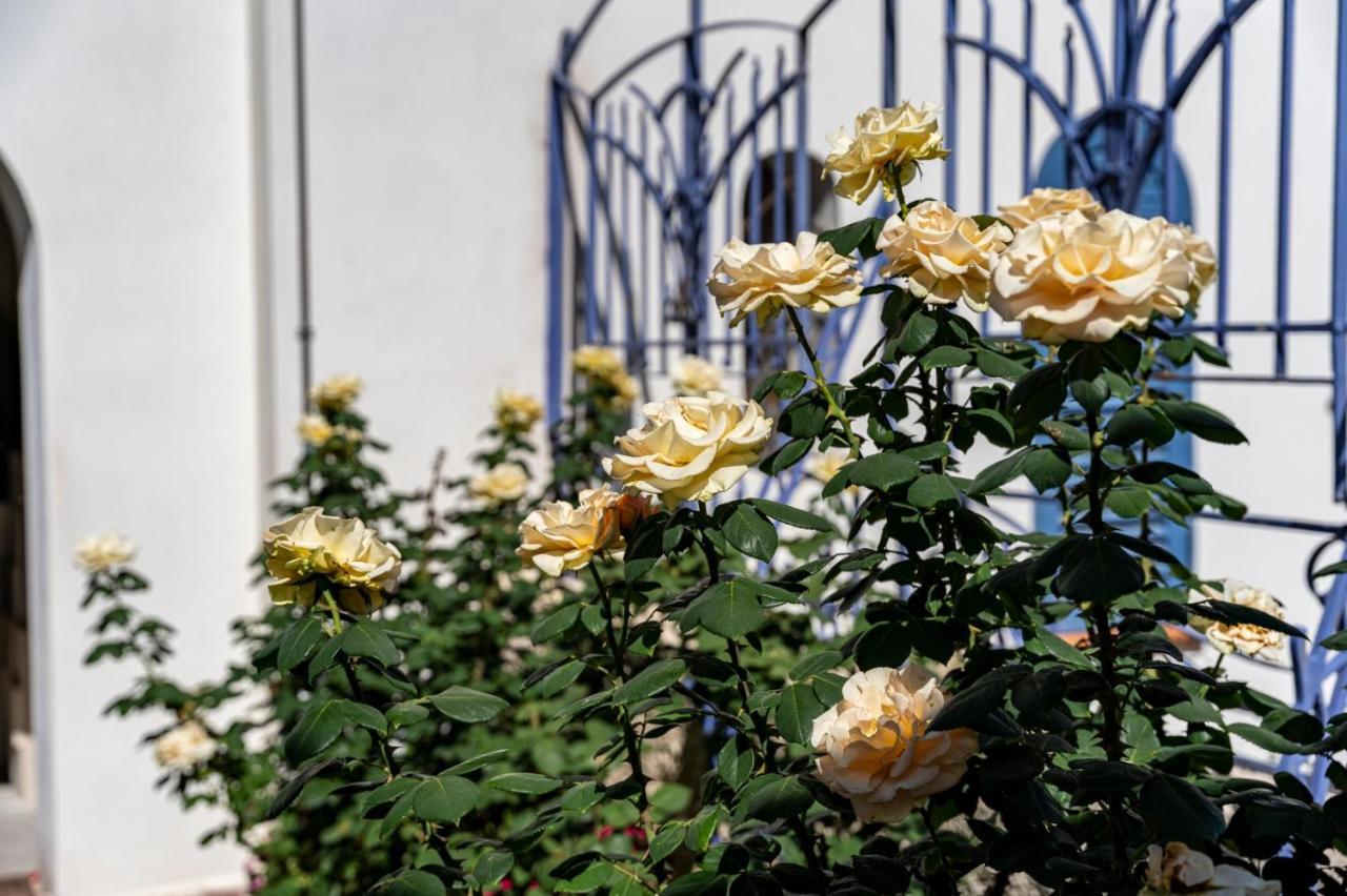 Casa Azzurra Διαμέρισμα Μεσίνα Εξωτερικό φωτογραφία
