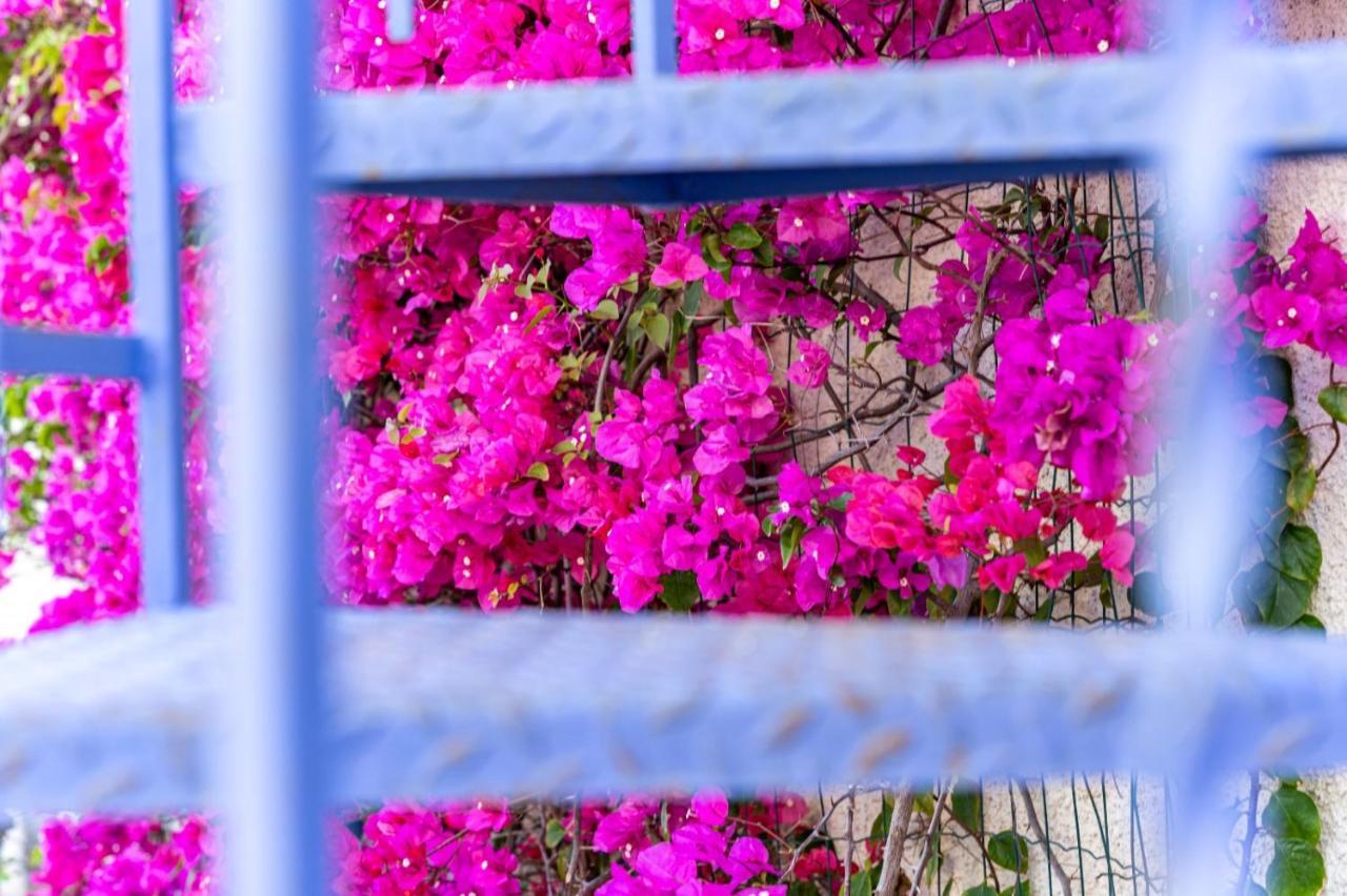 Casa Azzurra Διαμέρισμα Μεσίνα Εξωτερικό φωτογραφία